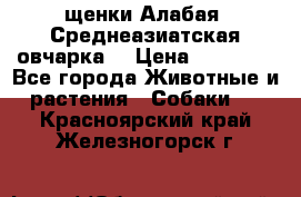 щенки Алабая (Среднеазиатская овчарка) › Цена ­ 15 000 - Все города Животные и растения » Собаки   . Красноярский край,Железногорск г.